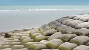 Geobag
